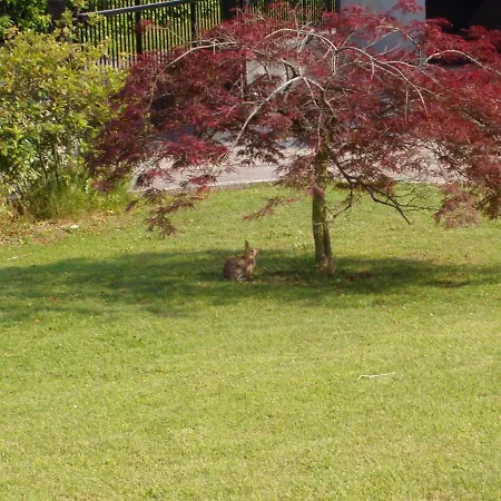 La Casetta Apartamento